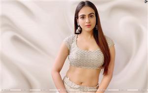 Elegant look of Aksha Pardasany - an Indian actress